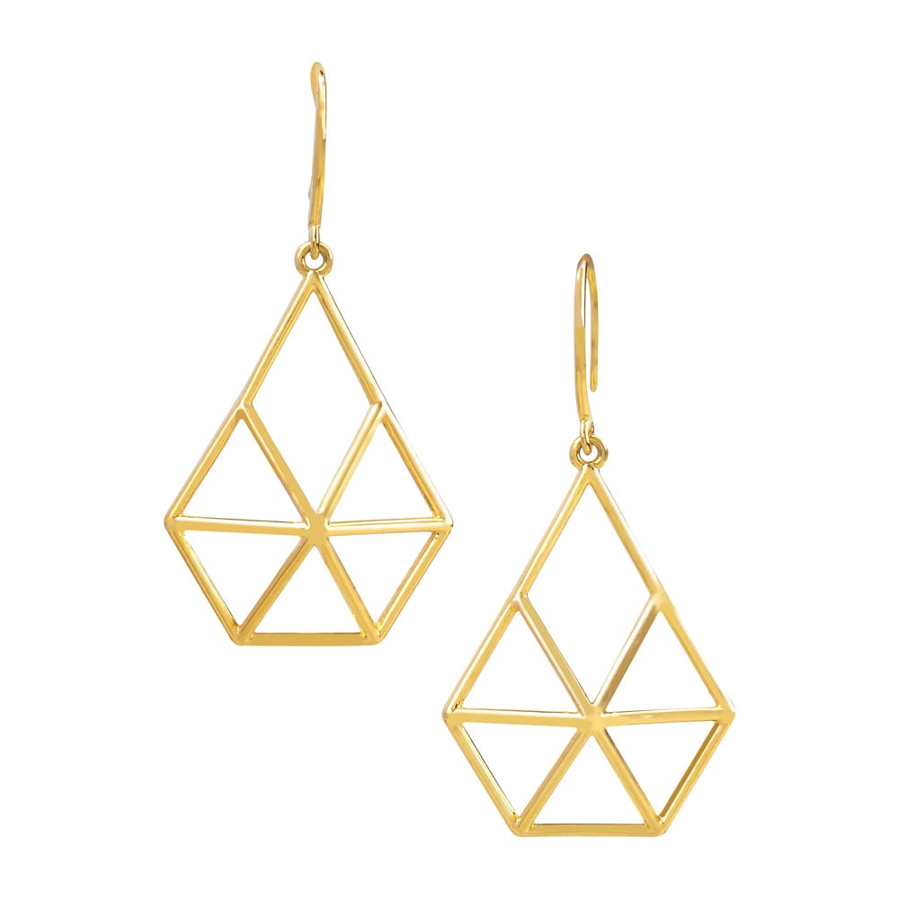 Interlocking Illusion Earrings - 