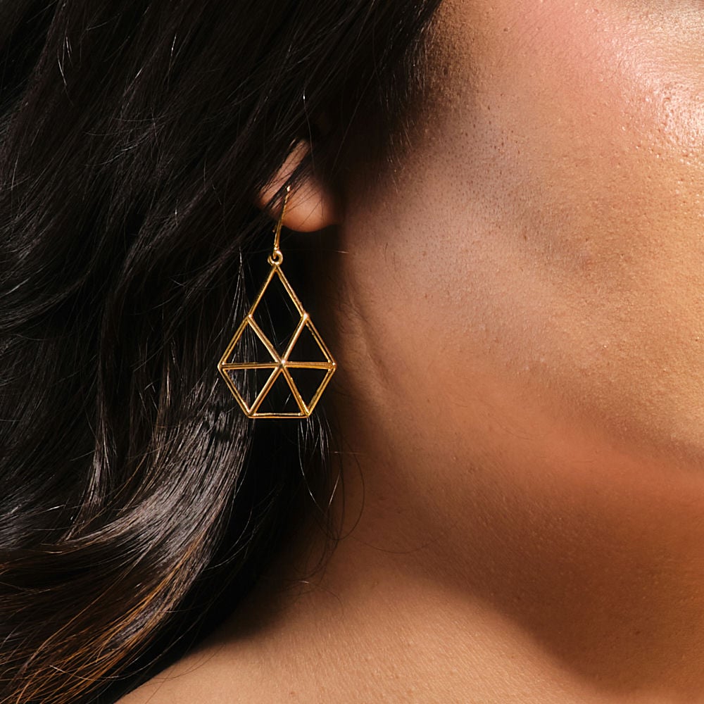 Interlocking Illusion Earrings - 