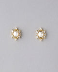 Pretty Pearl & Stone Stud Earring - Chandrani Pearls